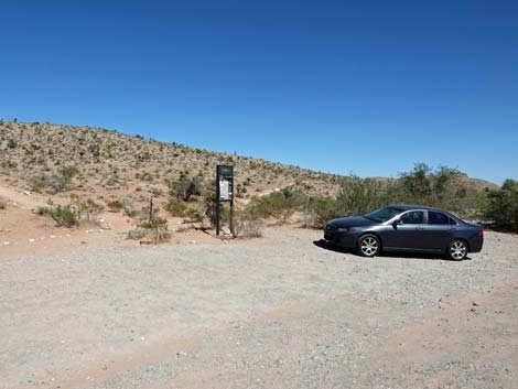 Genes Trailhead