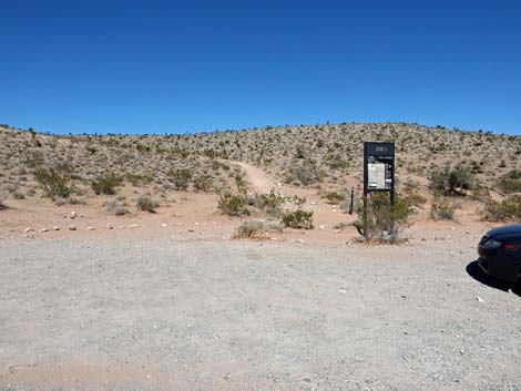 Genes Trailhead