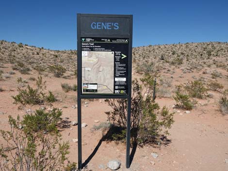 Genes Trailhead