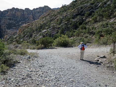 La Madre Trailhead