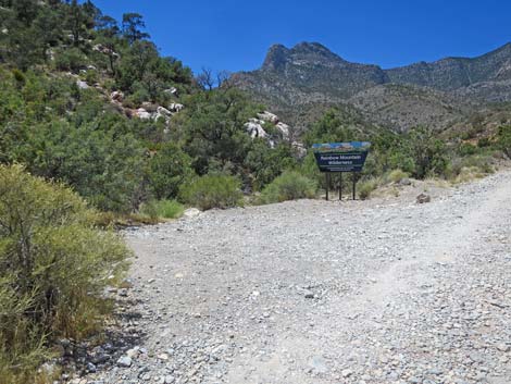 La Madre Trailhead