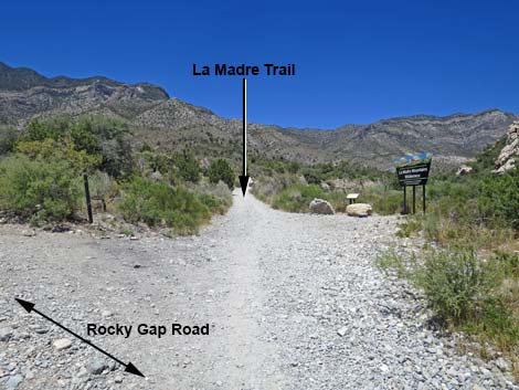 La Madre Spring Trail