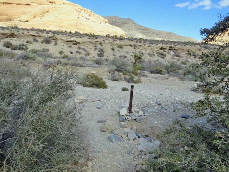 Turtlehead Mountain