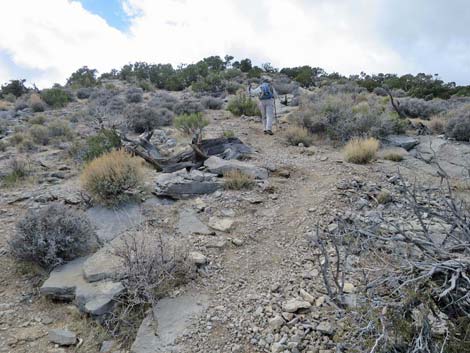 Turtlehead Mountain