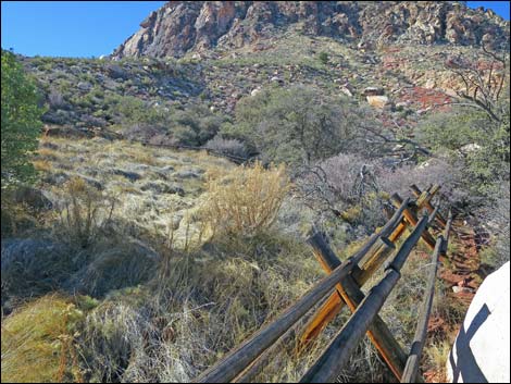 Cottonwood Valley Springs Loop Trail