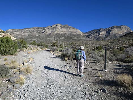 White Rock Loop Trail