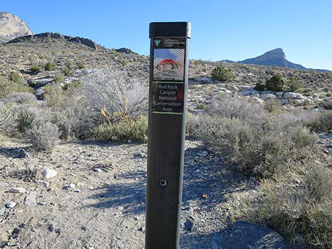 White Rock Loop Trail