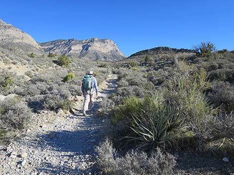 White Rock Loop Trail