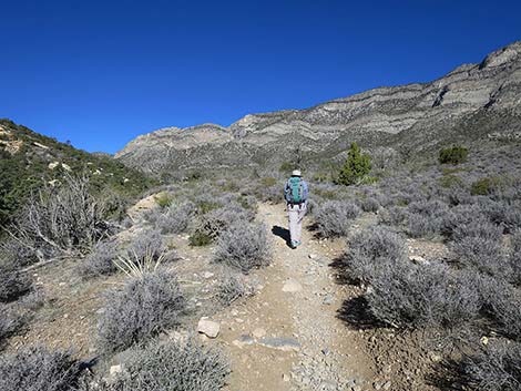 White Rock Loop Trail