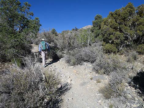 White Rock Loop Trail