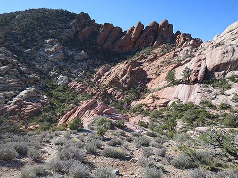 White Rock Loop Trail