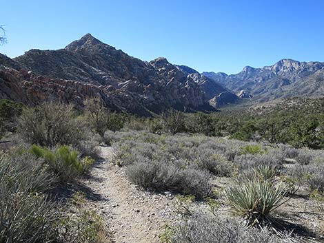 White Rock Loop Trail