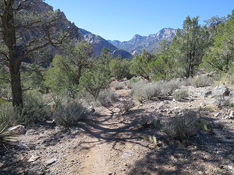 White Rock Loop Trail