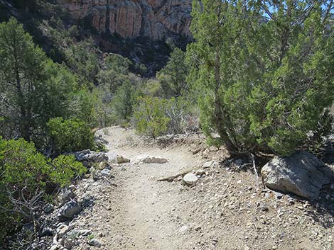 White Rock Loop Trail