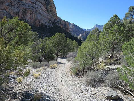 White Rock Loop Trail