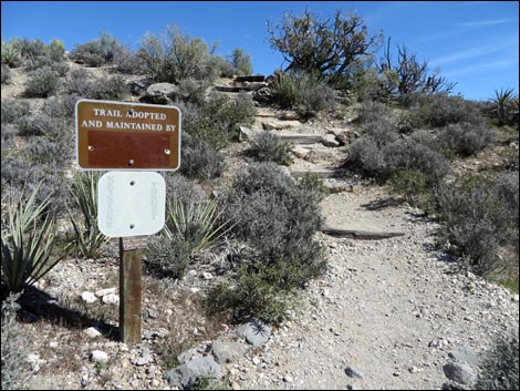 White Rock Loop Trail