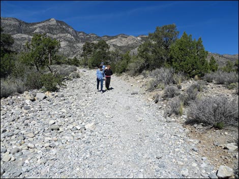 White Rock Loop Trail