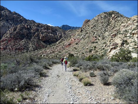 White Rock Loop Trail