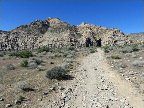 White Rock Loop Trail