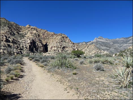 White Rock Loop Trail