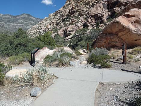 Willow Springs Loop Trail