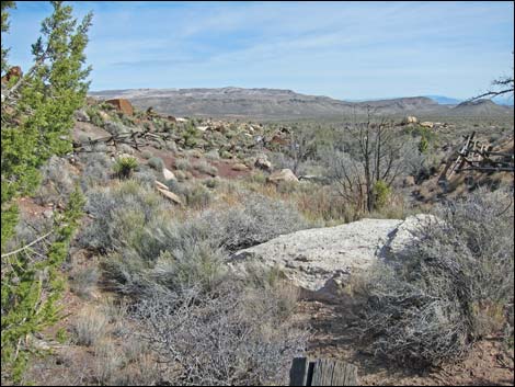 Wooden Fence Spring Trail