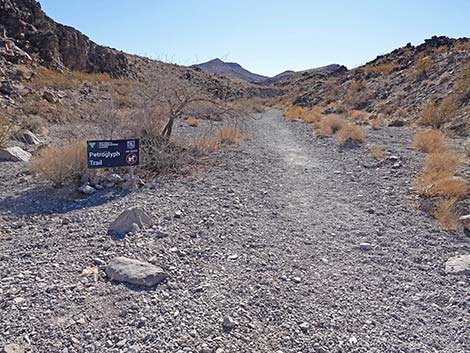 BLM 100 Trail