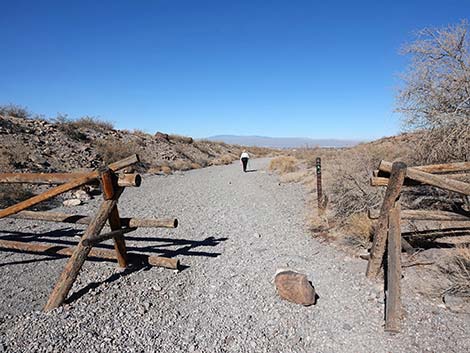 Petroglyph Canyon Trail