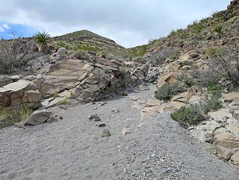 Petroglyph Canyon Trail