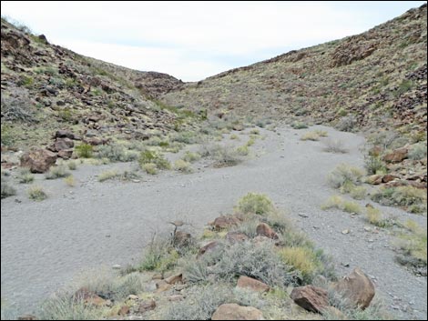 Sloan Canyon BLM 100 Trail