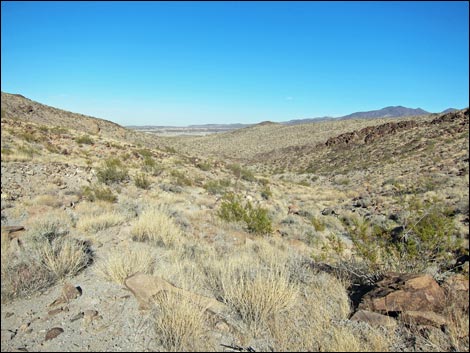 BLM 200 Trail