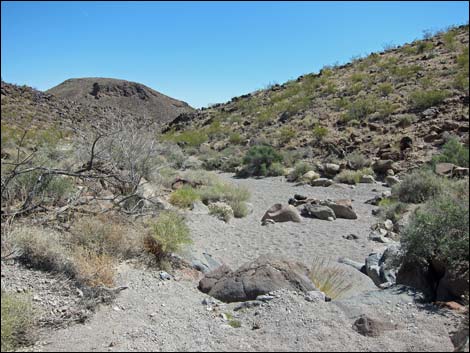 Hidden Valley Trail