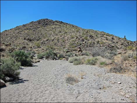 Hidden Valley Trail