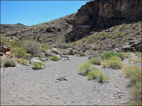 Hidden Valley Trail