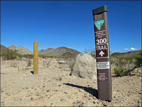 Hidden Valley Trail