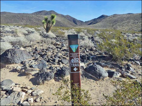 BLM 402 Connector Trail