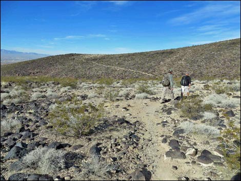 BLM 402 Connector Trail