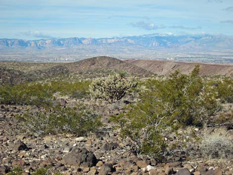 McCullough Hills Trail