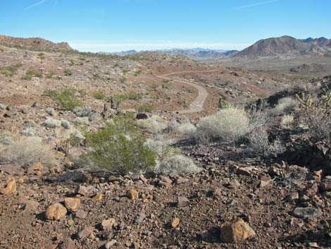 McCullough Hills Trail