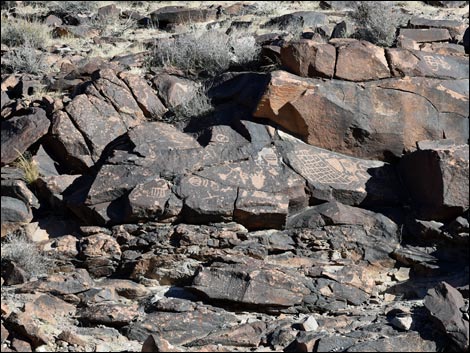 Sloan Canyon Petroglyphs