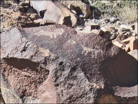 Sloan Canyon Petroglyphs