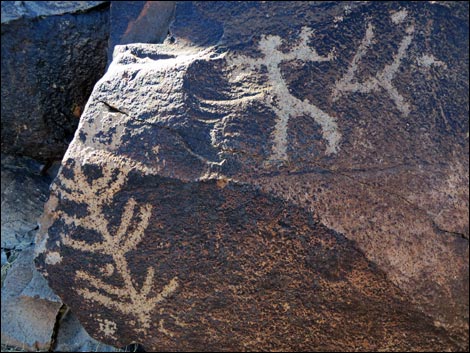 Sloan Canyon Petroglyphs