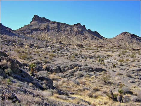 Sloan Canyon Loop