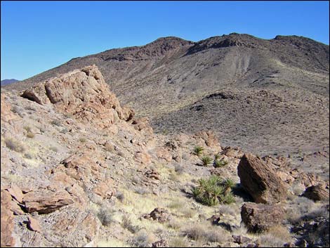 Sloan Canyon Loop