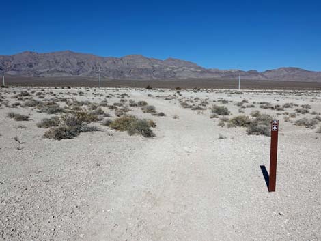 Aliente Loop Trail