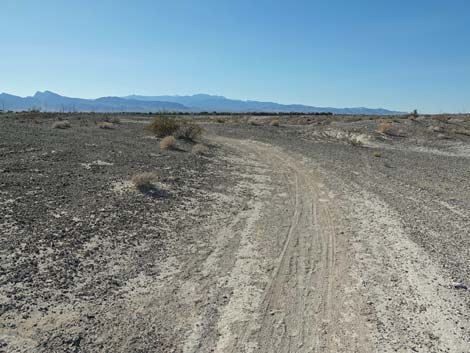 Aliente Loop Trail