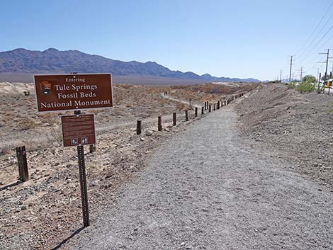 Durango Loop Temporary Trail