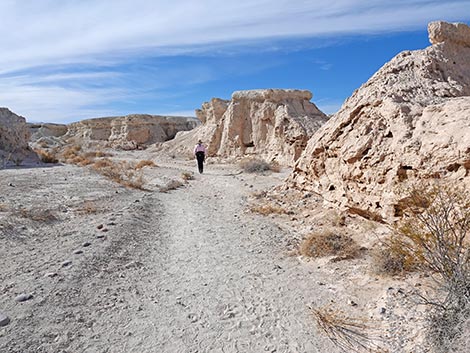 Big Dig Trail