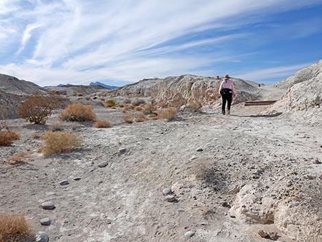 Big Dig Trail