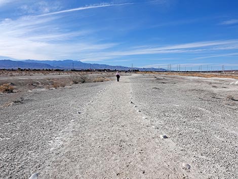 Big Dig Trail